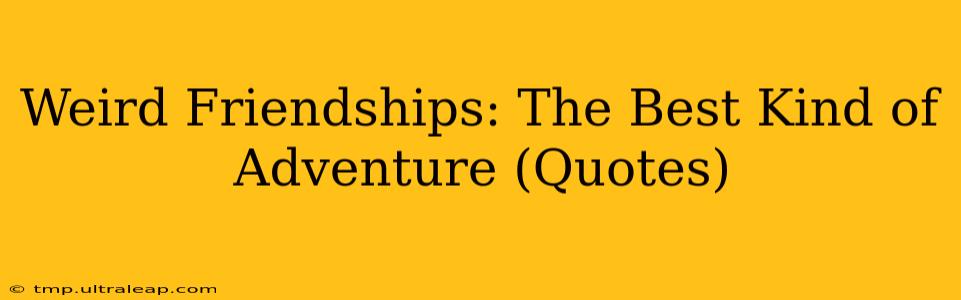 Weird Friendships: The Best Kind of Adventure (Quotes)