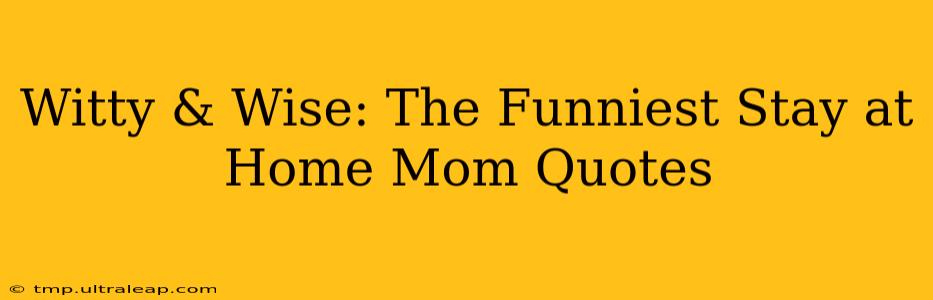 Witty & Wise: The Funniest Stay at Home Mom Quotes