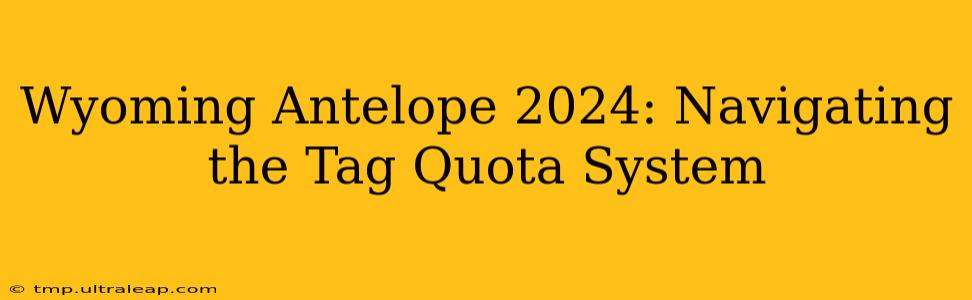 Wyoming Antelope 2024: Navigating the Tag Quota System