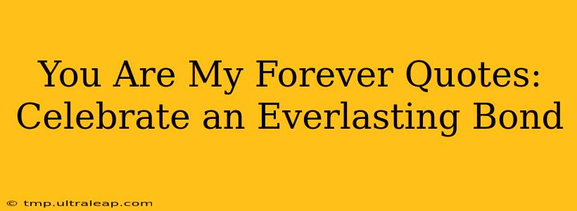 You Are My Forever Quotes: Celebrate an Everlasting Bond